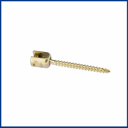 Polyaxial-Screw