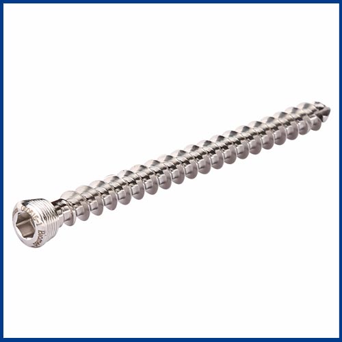 Bio-Fixation-Screws